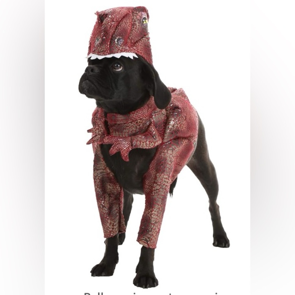 Raptor / Dinosaur Dog Costume (Small)